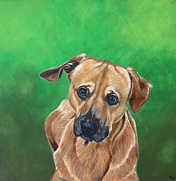 Ferdi(peinture acrylique, 50 x 50 cm, collection privée)