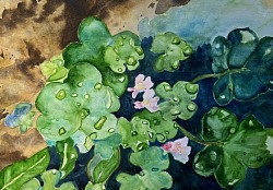 Aquarelle